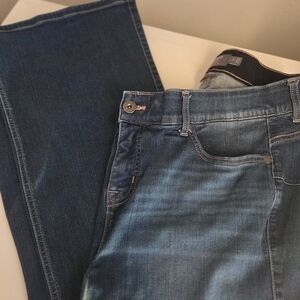 Torrid  Blue Jeans Flare